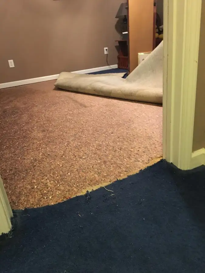 Carpet pad removal revealing water damage during Drying & Dehumidification in Groveport